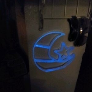 Glow in the dark moon/star shelve
